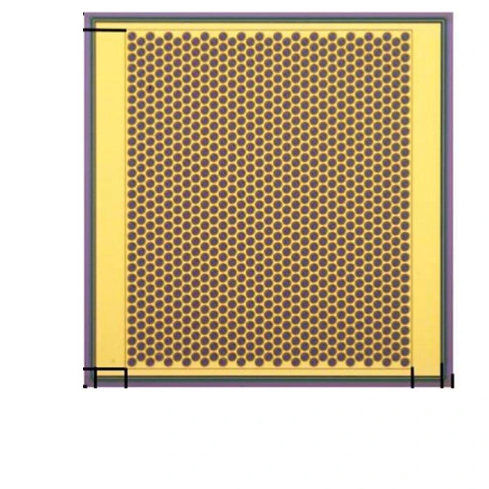 VCSEL Unmounted Die